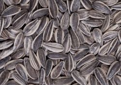 Cardamom
